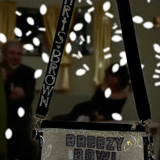 Customized Purses for concerts & events/Stadium Approved